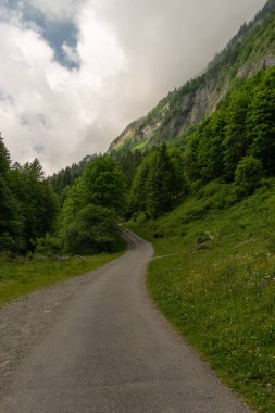 Appenzell, İsviçre, 13 Haziran 2021 Dağlarda yeşil bir çayırın yanında küçük bir patika