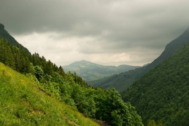 Appenzell, İsviçre, 13 Haziran 2021 Arka planda Alpler olan bir orman üzerine panoramik manzara