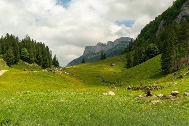 Appenzell, İsviçre, 13 Haziran 2021 Dağlarda taze yeşil çayır ve gökyüzünde bulutlar