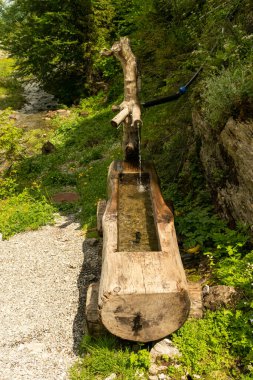 Appenzell, İsviçre, 13 Haziran 2021 Dağlardaki küçük bir çeşmeden tatlı su akar.