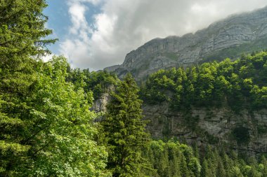 Appenzell, İsviçre, 13 Haziran 2021 Güneşli bir günde Alplere yeşil bir doğa ile bakın