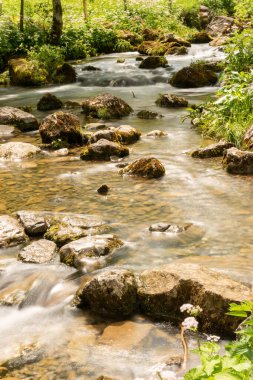 Appenzell, İsviçre, 13 Haziran 2021 Dağlardan yeşil bir tarla boyunca akan küçük bir nehir