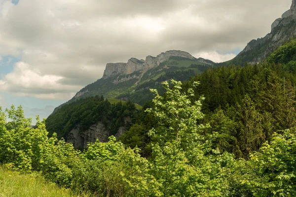 Appenzell Svizzera Giugno 2021 Veduta Sulle Alpi Una Natura Verde — Foto Stock