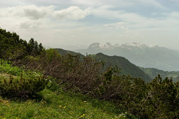 Sareis Liechtenstein Giugno 2021 Splendida Vista Sulle Alpi Con Nuvole — Foto Stock