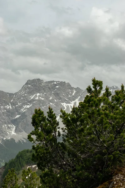 Sareis Liechtenstein Juni 2021 Bergpanorama Een Bewolkte Dag — Stockfoto