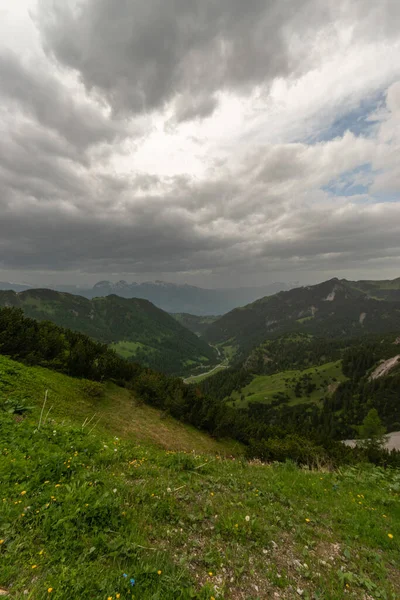 2021年6月20日リヒテンシュタイン州サリス曇りの日の牧歌的な山の風景 — ストック写真