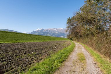 Schaan, Lihtenştayn, 14 Ekim 2021 Güneşli bir günde ekilebilir bir tarlanın yanında.
