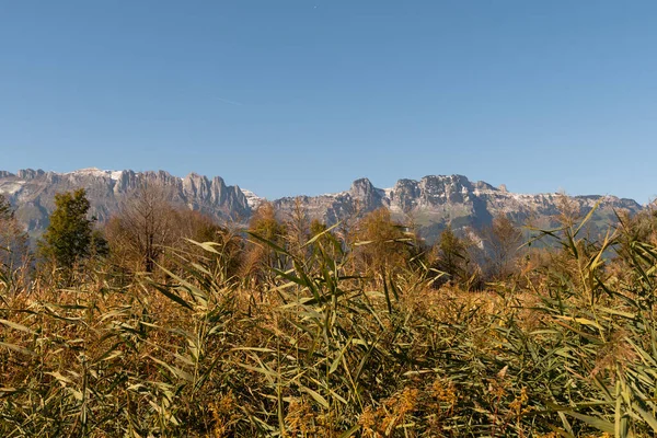 Schaan Lichtenštejnsko Října 2021 Výsadba Louce Před Alpami Slunečného Dne — Stock fotografie