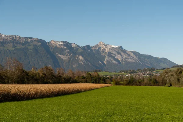 Schaan Liechtenstein Oktober 2021 Maïsveld Met Bergen Achtergrond — Stockfoto