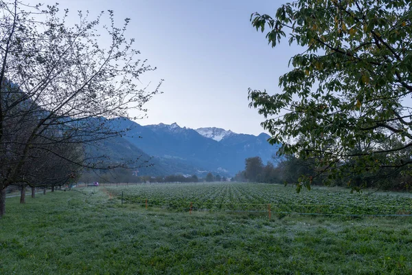 Vaduz Liechtenstein Outubro 2021 Vista Sobre Campo Verde Pouco Antes — Fotografia de Stock