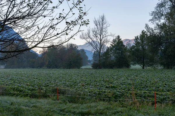 Vaduz Lichtenštejnsko Října 2021 Pohled Zelené Pole Těsně Před Východem — Stock fotografie