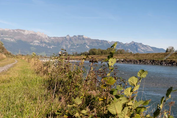 Sevelen Svizzera Ottobre 2021 Mattina Presto Fiume Reno Autunno — Foto Stock