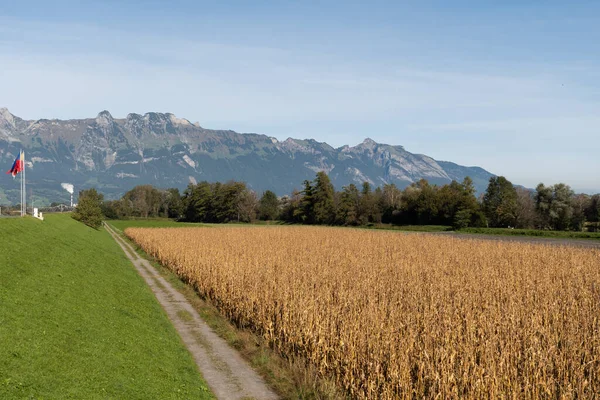 Vaduz Liechtenstein Oktober 2021 Uitzicht Een Akkerland Voor Alpen Een — Stockfoto
