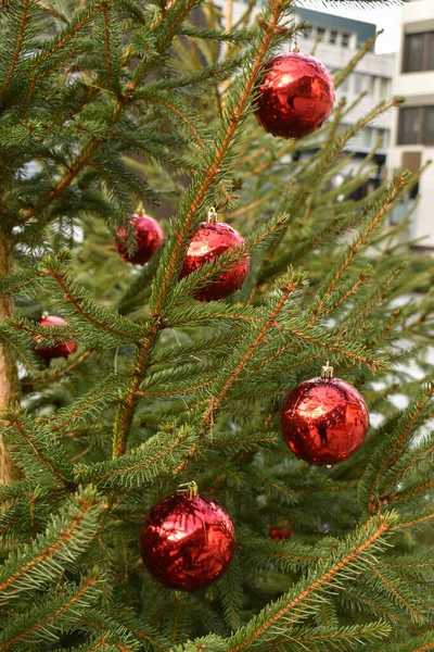 2021年12月6日 列支敦士登瓦杜兹 市中心有圣诞装饰品的冷杉树 — 图库照片