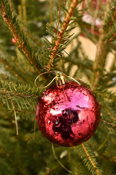 Vaduz Liechtenstein Diciembre 2021 Abeto Con Adornos Navideños Centro Ciudad —  Fotos de Stock