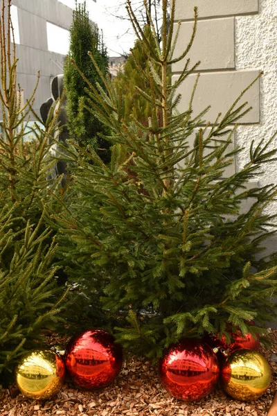 Vaduz Λιχτενστάιν Δεκεμβρίου 2021 Υπέροχη Χριστουγεννιάτικη Διακόσμηση Στο Κέντρο Της — Φωτογραφία Αρχείου