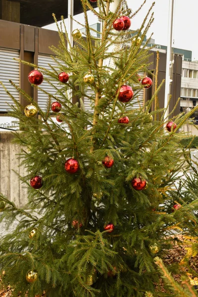 Vaduz Λιχτενστάιν Δεκεμβρίου 2021 Δέντρο Ελάτης Χριστουγεννιάτικα Στολίδια Στο Κέντρο — Φωτογραφία Αρχείου