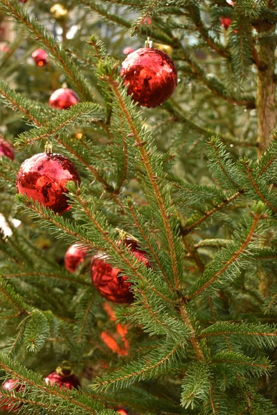Navidad arbol natural fotos de stock, imágenes de Navidad arbol natural sin  royalties | Depositphotos