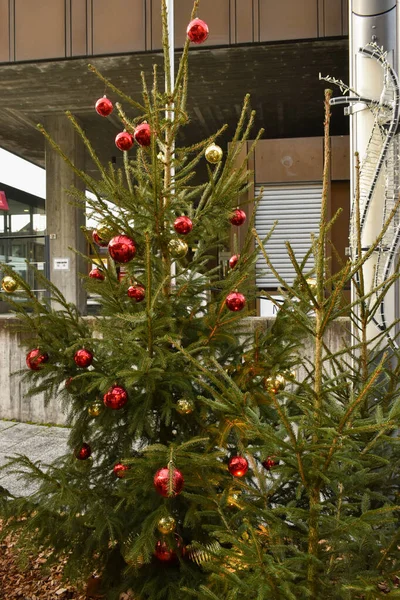 2021年12月6日 列支敦士登瓦杜兹 市中心有圣诞装饰品的冷杉树 — 图库照片