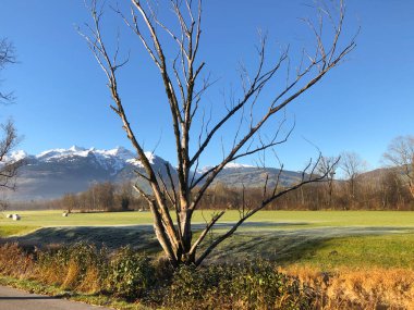 Schaan, Lihtenştayn, 9 Kasım 2021. Kar, güneşli bir günde güzel bir kırsalın arkasındaki dağ zirvelerini kapladı.