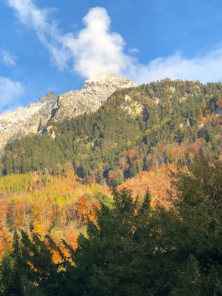 Vaduz Liechtenstein Noviembre 2021 Paisaje Alpino Con Árboles Colores Nubes — Foto de Stock