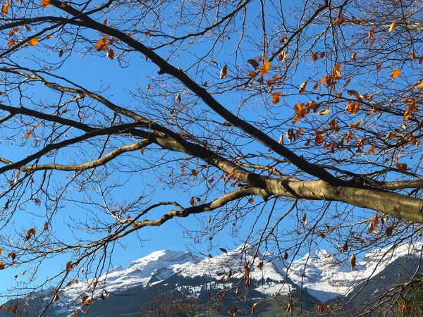 Schaan Liechtenstein November 2021 Snow Covered Mountain Peaks Beautiful Countryside — 图库照片