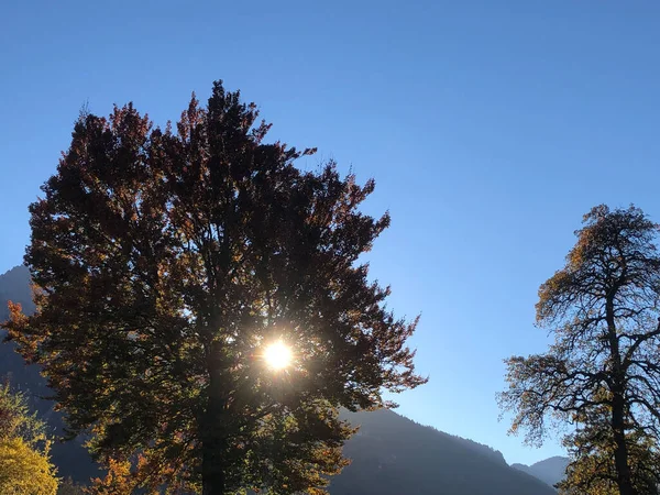 Schaan, Lihtenştayn, 27 Ekim 2021 Güneşin bir ağacın arkasında olduğu sabah manzarası