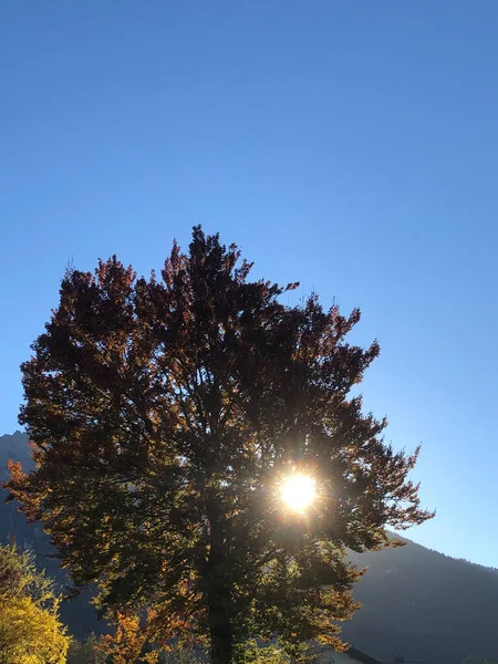 Schaan Liechtenstein Oktober 2021 Vroeg Ochtend Met Zon Achter Een — Stockfoto