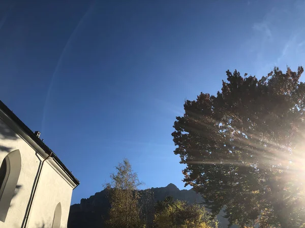 Schaan, Lihtenştayn, 27 Ekim 2021 Güneşin bir ağacın arkasında olduğu sabah manzarası