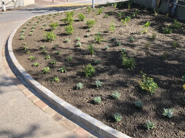 Schaan, Lihtenştayn, 30 Eylül 2021 Yeni ekilmiş çiçeklerin bulunduğu sokağın yanındaki küçük bölge.