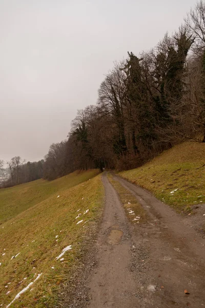 Vaduz Liechtenstein December 2021 Small Hiking Trail Leading Forest Foggy — Fotografia de Stock