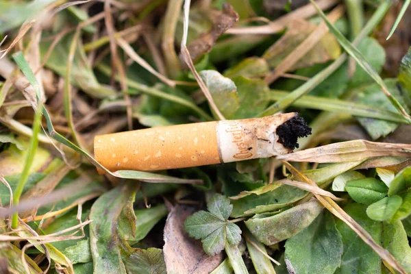 Vaduz Liechtenstein December 2021 Thrown Away Cigarette Butt Green Meadow — Stock Photo, Image