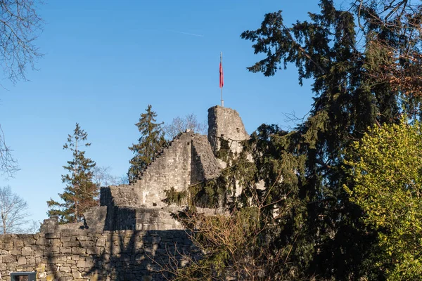 Schellenberg Liechtenstein December 2021 Historic Old Castle Ruin Mid Age —  Fotos de Stock