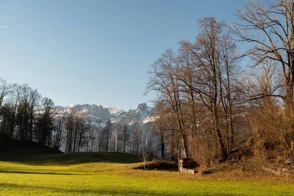 Schellenberg Liechtenstein December 2021 Lovely Walk Green Forest Sunny Day — Fotografia de Stock