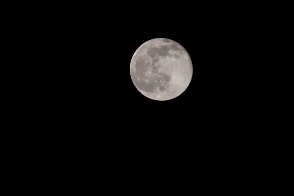 Schaan Liechtenstein Januar 2022 Vollmond Dunkel Der Nacht — Stockfoto