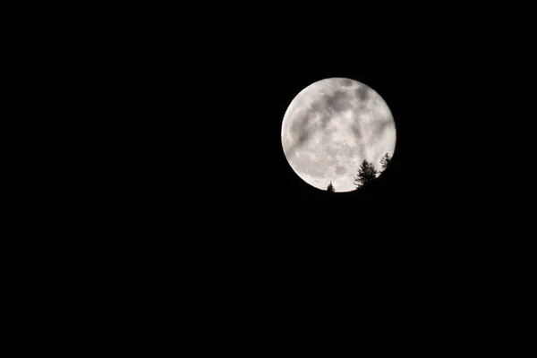 Schaan Liechtenstein Janeiro 2022 Lua Cheia Escuridão Noite — Fotografia de Stock