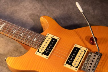 Vaduz, Lihtenştayn, 27 Ocak 2022 PRS SE Santana elektro gitar.