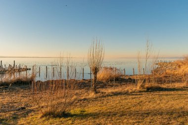 Altenrhein, İsviçre, 9 Şubat 2022 Constance Gölü kıyısındaki doğal manzara