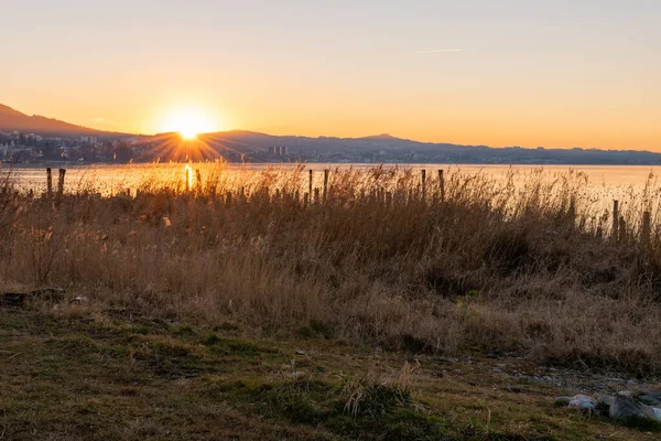 Altenrhein Zwitserland Februari 2022 Geweldige Zonsondergang Aan Het Bodenmeer — Stockfoto