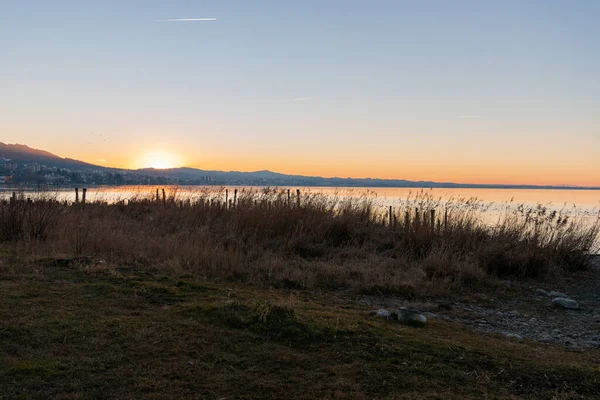 2022年2月9日 瑞士阿尔滕莱茵 康斯坦茨湖畔美丽的落日 — 图库照片