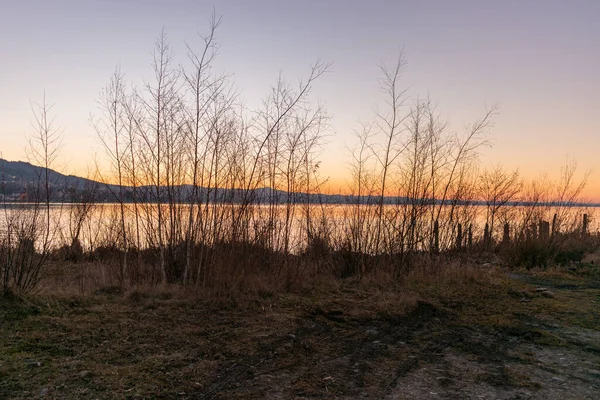 2022年2月9日 瑞士阿尔滕瑞金 康斯坦斯湖日落后美丽多彩的天空 — 图库照片