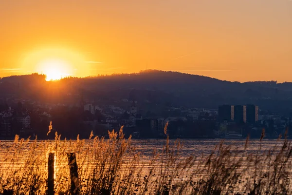 Altenrhein Suíça Fevereiro 2022 Pôr Sol Maravilhoso Lago Constança — Fotografia de Stock
