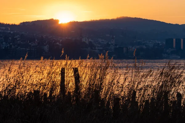 Altenrhein Suíça Fevereiro 2022 Pôr Sol Maravilhoso Lago Constança — Fotografia de Stock