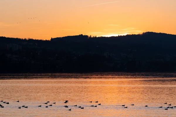 Altenrhein Suíça Fevereiro 2022 Céu Lindo Colorido Após Pôr Sol — Fotografia de Stock