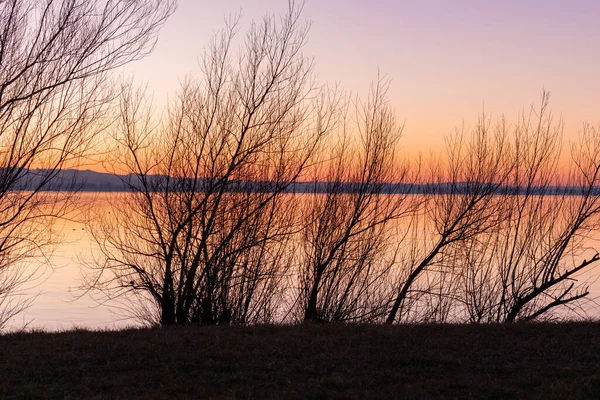 Altenrhein Suisse Février 2022 Beau Ciel Coloré Après Coucher Soleil — Photo