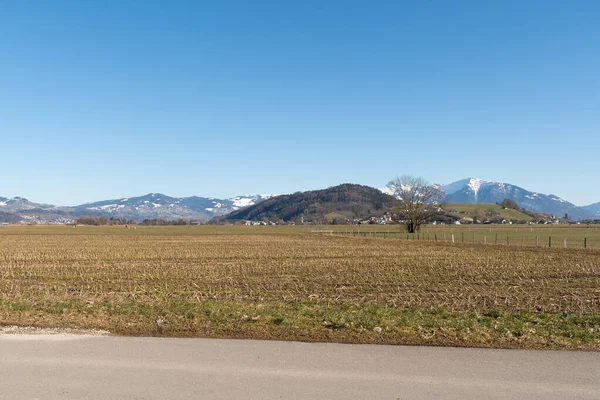 Wangen Lachen Suiza Febrero 2022 — Foto de Stock