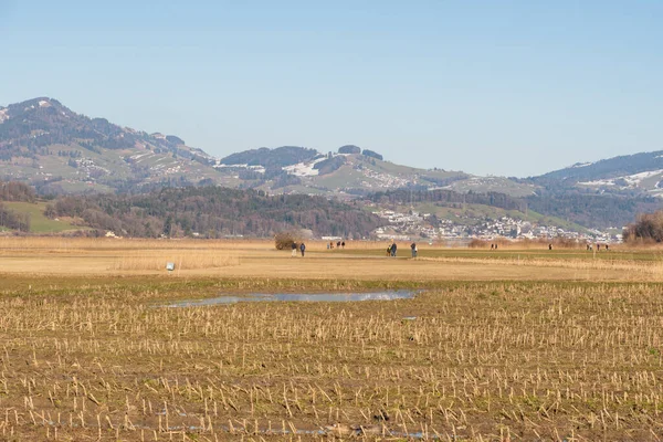 Wangen Lachen Švýcarsko Února 2022 Horské Panorama Slunečného Dne — Stock fotografie