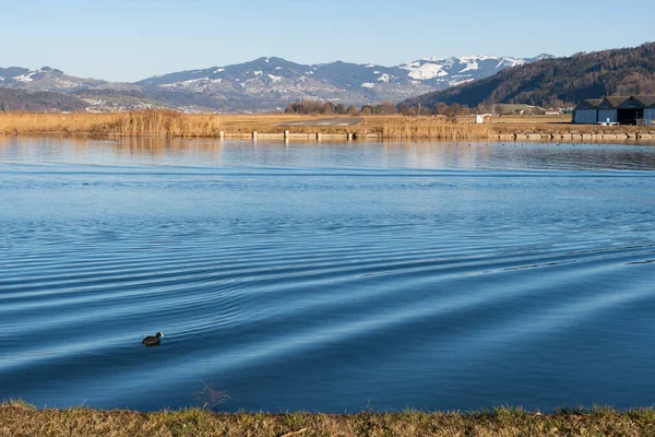 2022年2月13日スイスのWangen Larchen晴れた日に小さな飛行場にチューリッヒの湖を見下ろす — ストック写真