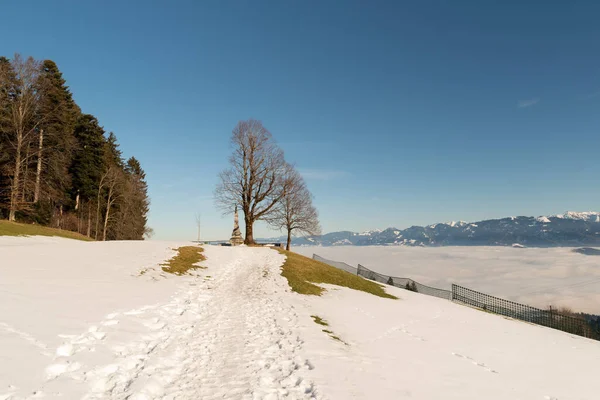 Gais Appenzell Zwitserland Januari 2022 Foggy Day Zwitserse Oostenrijkse Rhijnvallei — Stockfoto