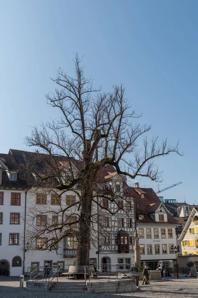 Saint Gallen Suiza Marzo 2022 Árbol Medio Una Pequeña Plaza — Foto de Stock